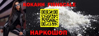 крисы Гатчина