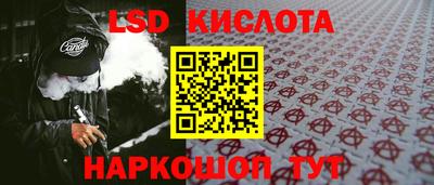 крисы Гатчина