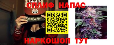 эйфоретик Гай