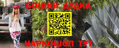 крисы Гатчина