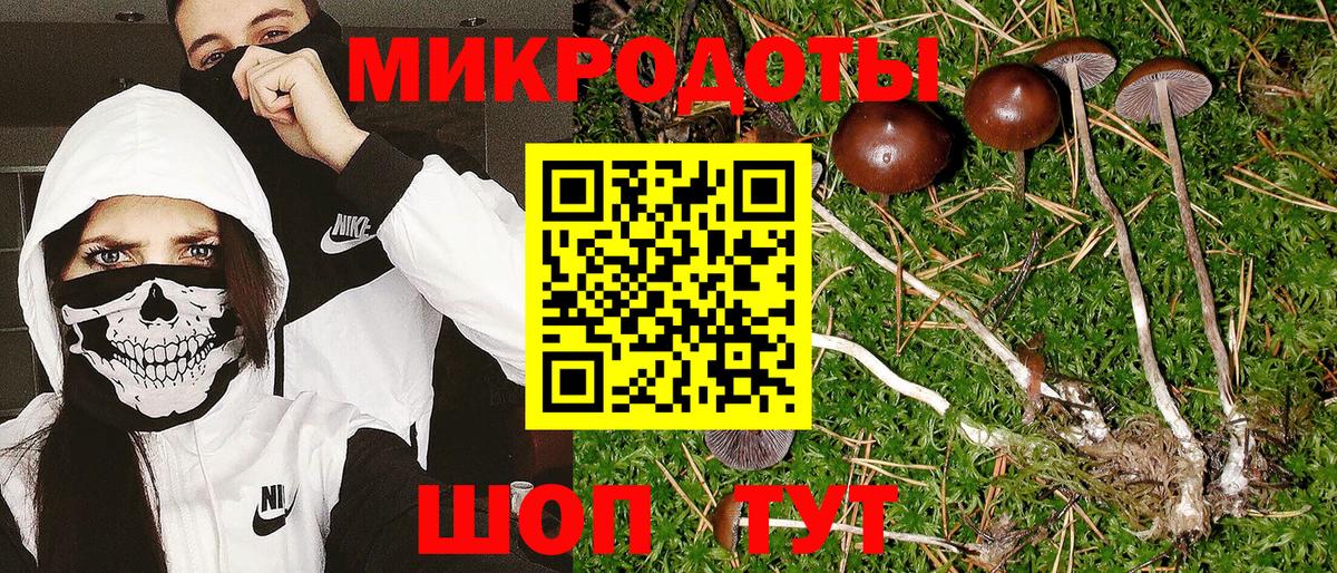 Галлюциногенные грибы мухоморы Нововоронеж