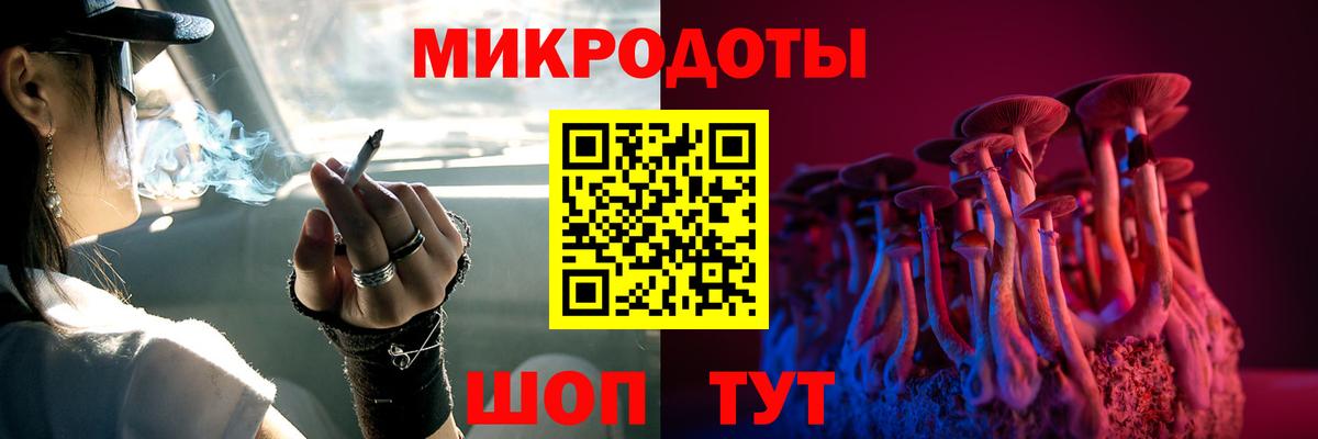 Псилоцибиновые грибы мицелий  Галлюциногенные грибы ЛСД  купить наркоту  Нововоронеж  Вход с VPN 