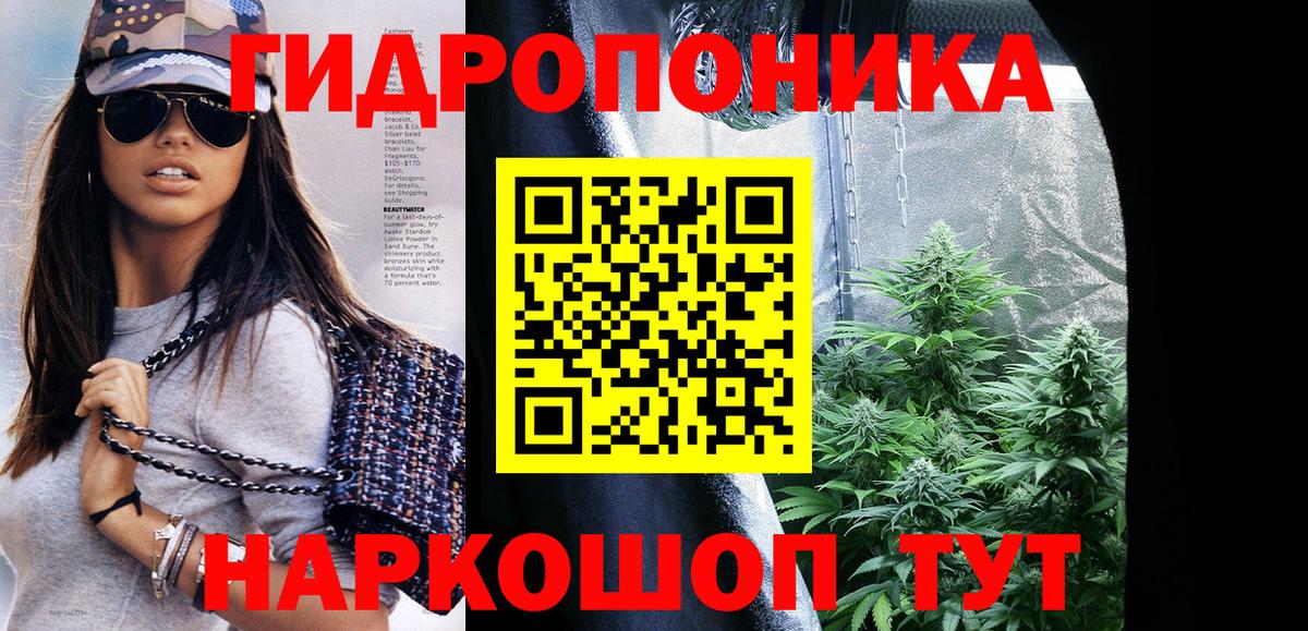 Канабис конопля  Бошки Шишки семена  Марихуана VHQ  Нововоронеж  Канабис MAZAR  Вход с VPN 
